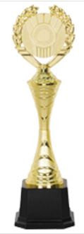 T0070